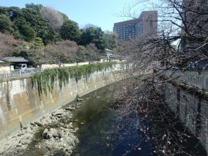 4駒塚橋 (2)