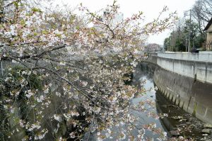 4駒塚橋 (2)
