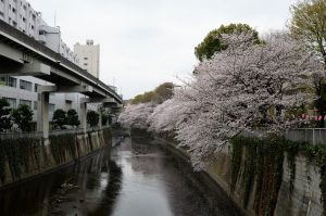 1江戸川橋 (1)