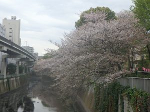 1江戸川橋 (2)